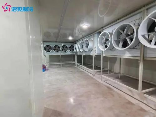 肉類速凍冷庫(kù) 食品速凍冷庫(kù)的建造設(shè)計(jì)